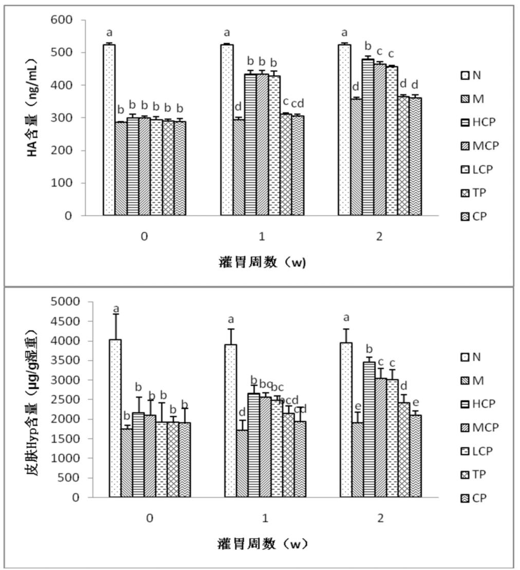 李博：口服胶原肽中延缓皮肤老化的活性成分及分子作用机制(图3)